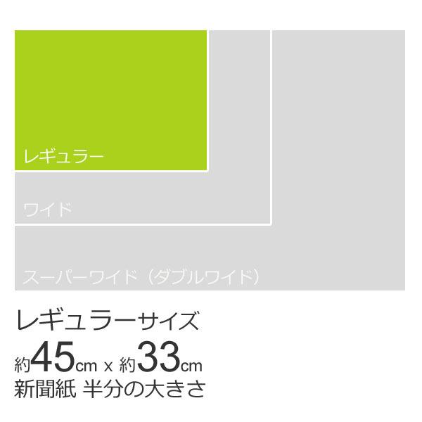 厚型　ペットシーツ　レギュラー　400枚 （100枚×4袋）　ペットシーツ専門店 スタイルプラス オリジナル | スタイルプラス | 10