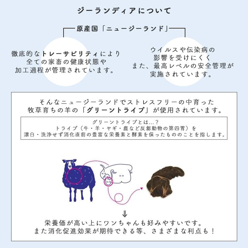 ジーランディア・ジウィピーク セット 【公式通販】