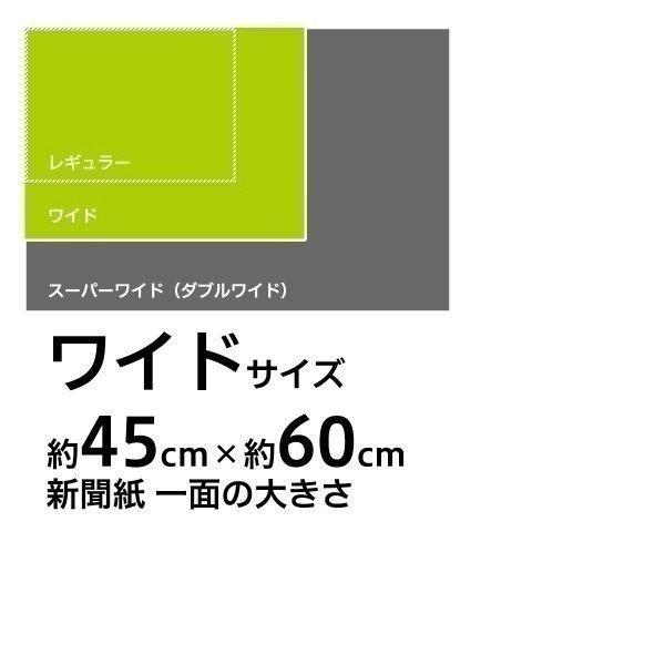 超薄型　ペットシーツ　ワイド　600枚 （150枚×4袋）　ペットシーツ専門店 スタイルプラス オリジナル｜styleplus｜02