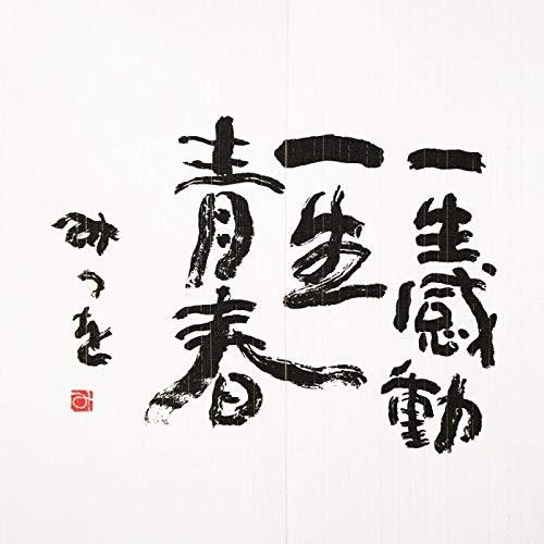 のれん 暖簾 間仕切り 目隠し 85x90cm 相田みつを 一生感動 日本製