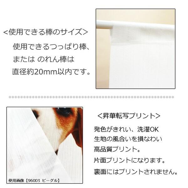 のれん　暖簾　目隠し　間仕切り　洋風　洋柄　THE DOG　いぬ　犬　キャバリア・キング・チャールズ・スパニエル   85×90cm　日本製 |  | 06
