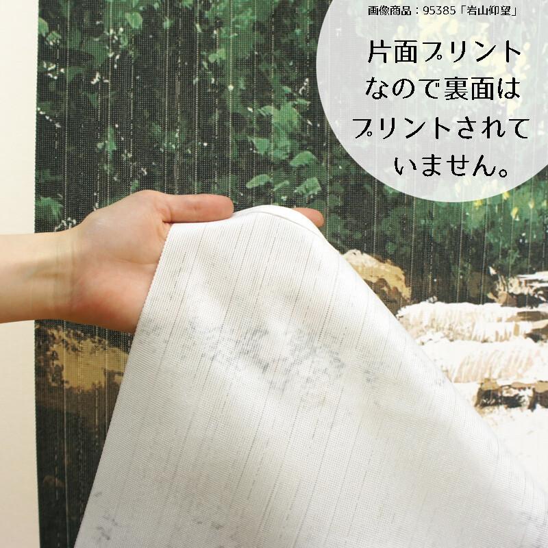 のれん 暖簾 目隠し 間仕切り 洋風 風景 景色 陽光と川の のれん 暖簾 目隠し 間仕切り 洋風 風景 景色 陽光と川の