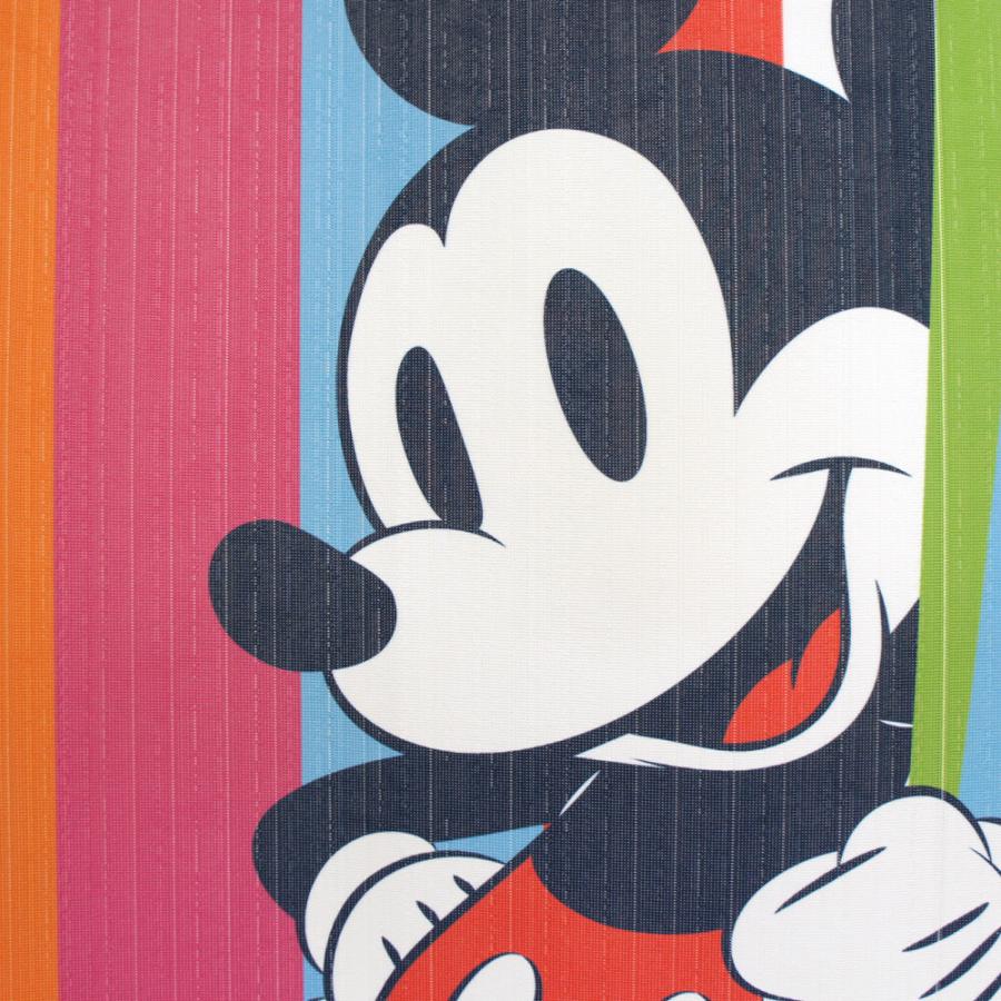 のれん 暖簾 ディズニー Disney Colourful 85×150cm 日本製 のれん 暖簾 ディズニー Disney Colourful 85×150cm 日本製