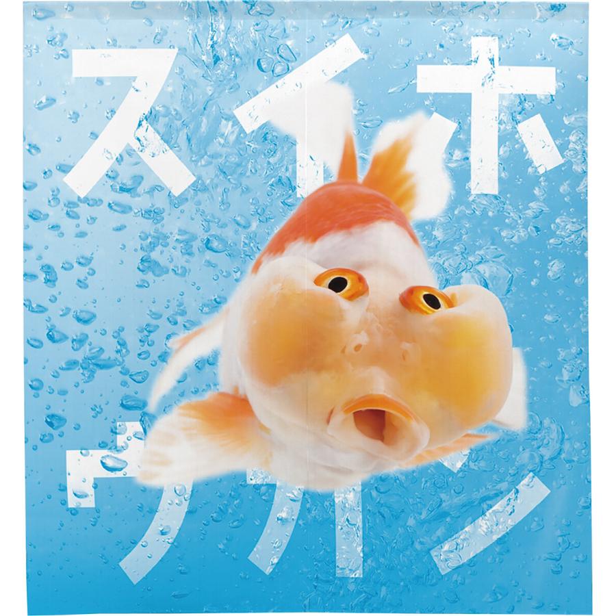 のれん hidebouu のれん 暖簾 間仕切り 目隠し 魚 さかな うおづら 出目金 幅85