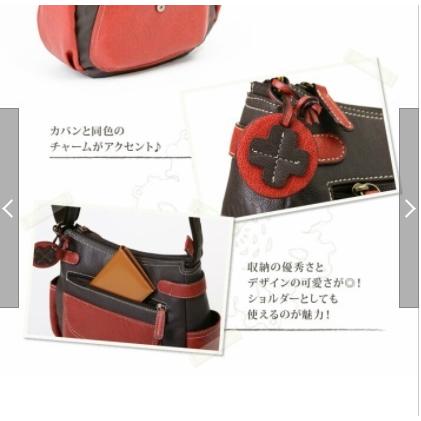 FASCINO ファッシーノ / PIEMONTE LUSSO ピエモンテ ルッソ 6051 VOICE ショルダーバッグ バイカラーななめ掛けポシェット 合成皮革 |  | 05