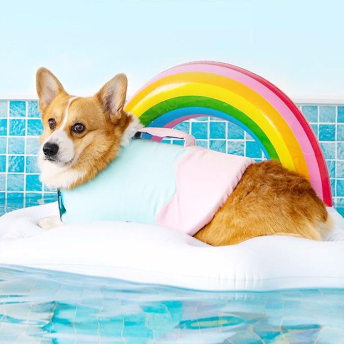 犬用 ライフジャケット Xxs お風呂 ウェア スイムウェア ドッグウェア フローティングベスト ブルー プール ベスト式 ペット 介護 救命胴衣 服 水浴び 水着 浮き 犬 芸能人愛用 Xxs