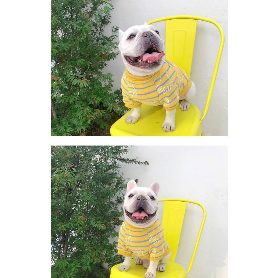 ドッグ 犬の服 犬服 犬用 ドッグウェア ボーダー 落書き風 Tシャツ 裏起毛 あったか トレーナー ペット用品 犬 ドッグ 大きいサイズ 新作 秋冬 小型犬 中型犬 Dt Stylike 通販 Yahoo ショッピング