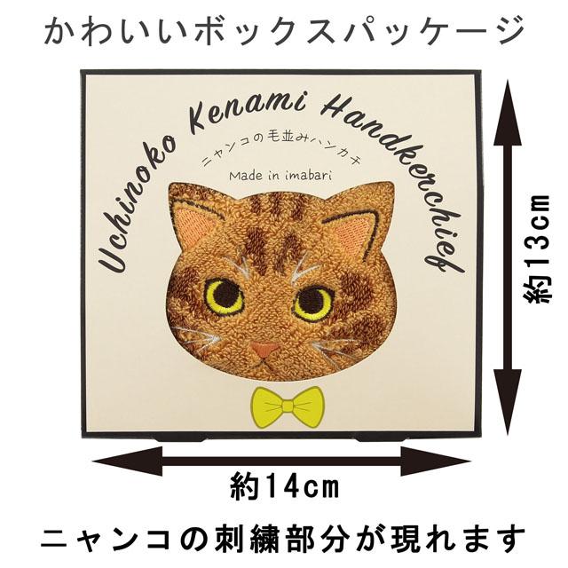 タオルハンカチ ニャンコシリーズ 毛並み 25cm×25cm 茶トラ サバトラ