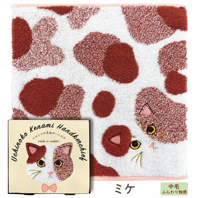 タオルハンカチ ニャンコシリーズ 毛並み 25cm×25cm 茶トラ サバトラ