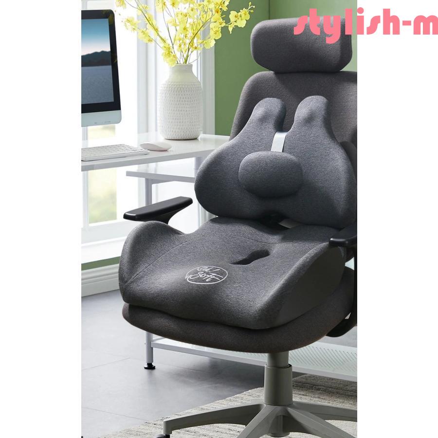 クッション新品交換済　Varier Thatsit ザッツイット 姿勢矯正チェア 座椅子 クッション 姿勢矯正 腰枕付き 着脱式 人間工学設計 座布団+
