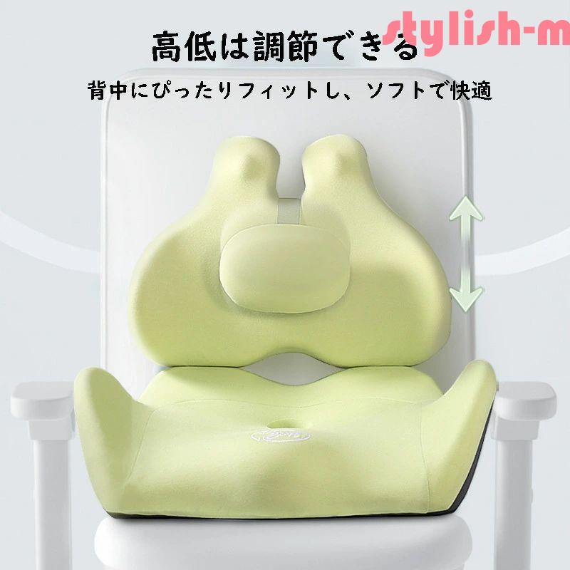 座椅子 クッション 姿勢矯正 腰枕付き 着脱式 人間工学設計 座布団+