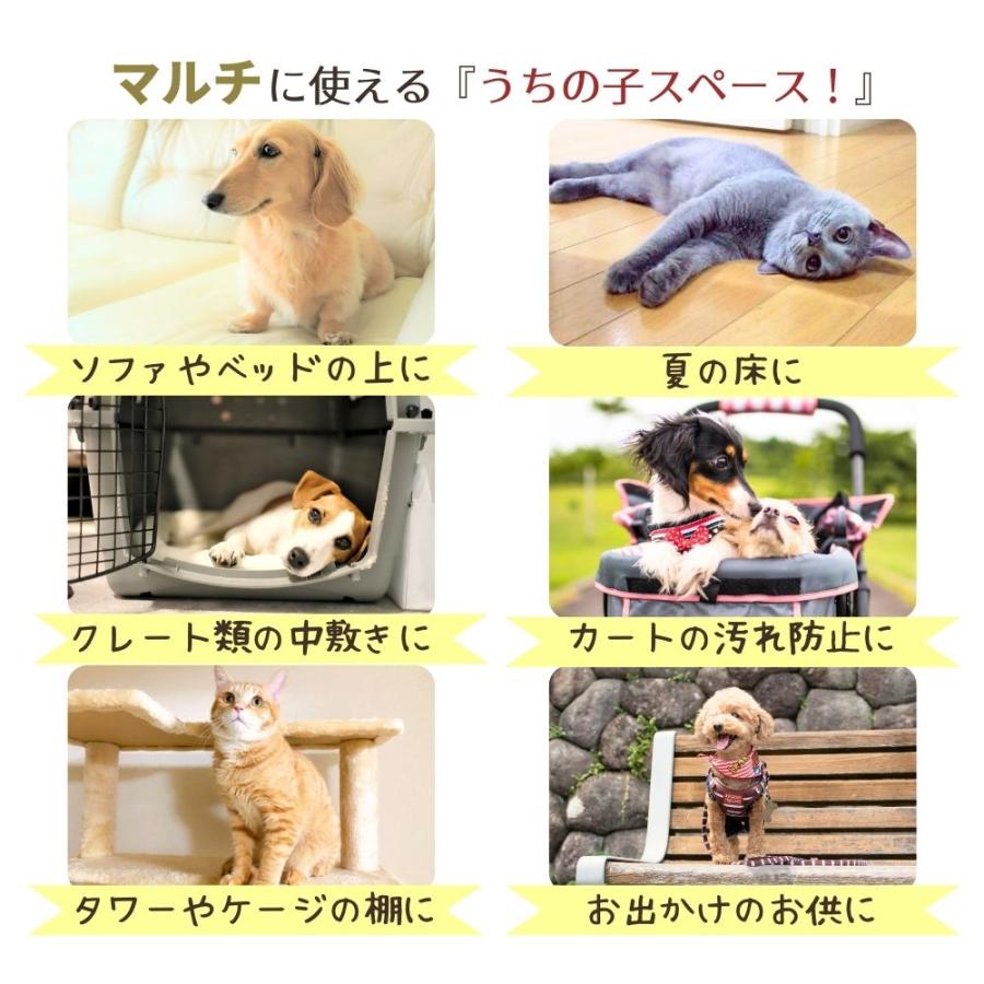 犬 猫 ペット マット STYRIA マドラスチェック ツイード ペットマット 春夏 夏 通年 洗える おしゃれ 可愛い 超小型犬 ケージ カート クレート シニア 滑り止め | STYRIA | 08