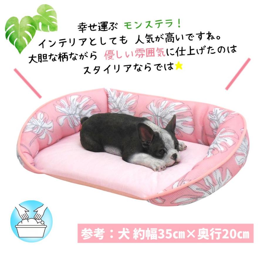 犬 猫 ペット ベッド STYRIA 冷感 モンステラ ひんやり ペットベッド オープン 夏 洗える クール 老犬 老猫 シニア 介護 おしゃれ フラット マット 段差 Ｍ 爆買 | STYRIA | 15