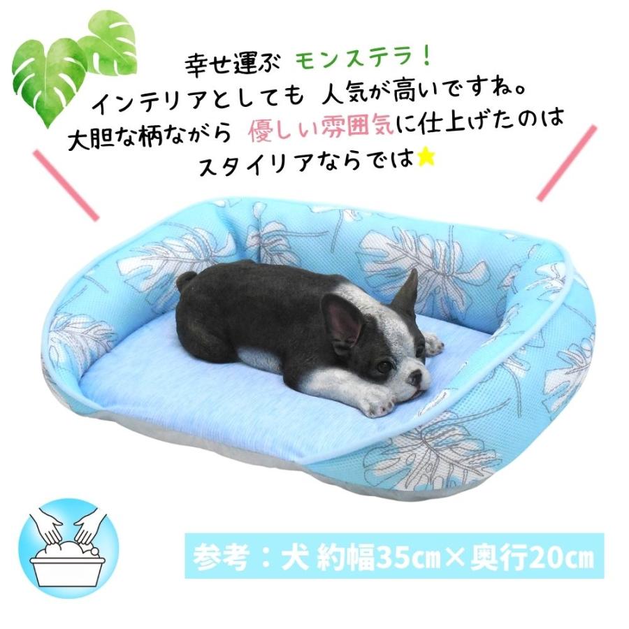 犬 猫 ペット ベッド STYRIA 冷感 モンステラ ひんやり ペットベッド オープン 夏 洗える クール 老犬 老猫 シニア 介護 おしゃれ フラット マット 段差 Ｍ 爆買 | STYRIA | 08