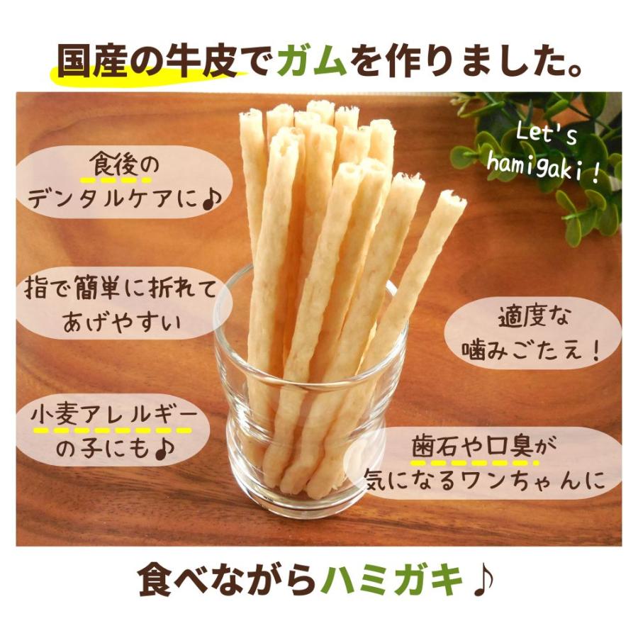 犬 おやつ 無添加 国産 ベストパートナー デンタルスティック S 15本 デンタルケア 歯磨きガム 歯石 口臭 牛皮 ガム グルテンフリー 小麦不使用 小型犬 日本製 | Best Partner | 01