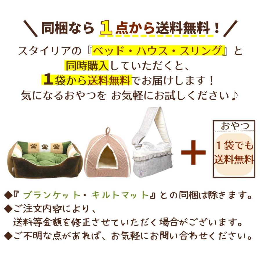 犬 おやつ 無添加 国産 ベストパートナー こだわりビーフジャーキー 100ｇ ジャーキー 柔らかい 小型犬 中型犬 大型犬 シニア ペット 日本製 爆買 | Best Partner | 04