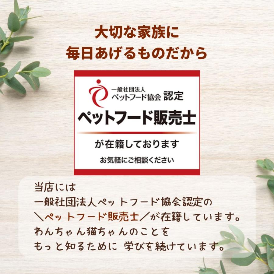 犬 おやつ 無添加 国産 ベストパートナー こだわりビーフジャーキー 100ｇ ジャーキー 柔らかい 小型犬 中型犬 大型犬 シニア ペット 日本製 爆買 | Best Partner | 06