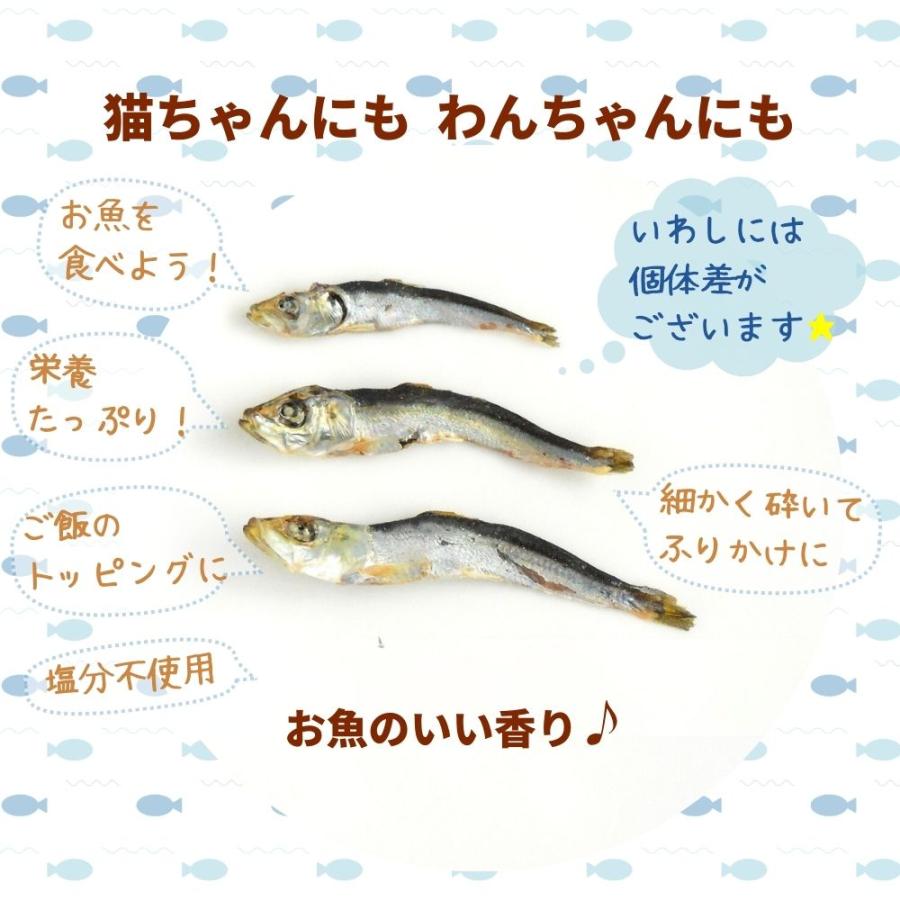 猫 犬 おやつ 無添加 国産 ベストパートナー 塩無添加にぼし 70ｇ 煮干し いわし 小魚 魚 無塩 ふりかけ 小型犬 中型犬 大型犬 シニア ペット 日本製 爆買 | Best Partner | 02