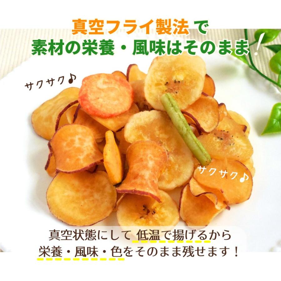 犬 おやつ 無添加 国産 ベストパートナー 乾燥野菜とフルーツ 50g 野菜 果物 さつまいも バナナ チップス チップ 小型犬 中型犬 大型犬 シニア 日本製 爆買 | Best Partner | 01