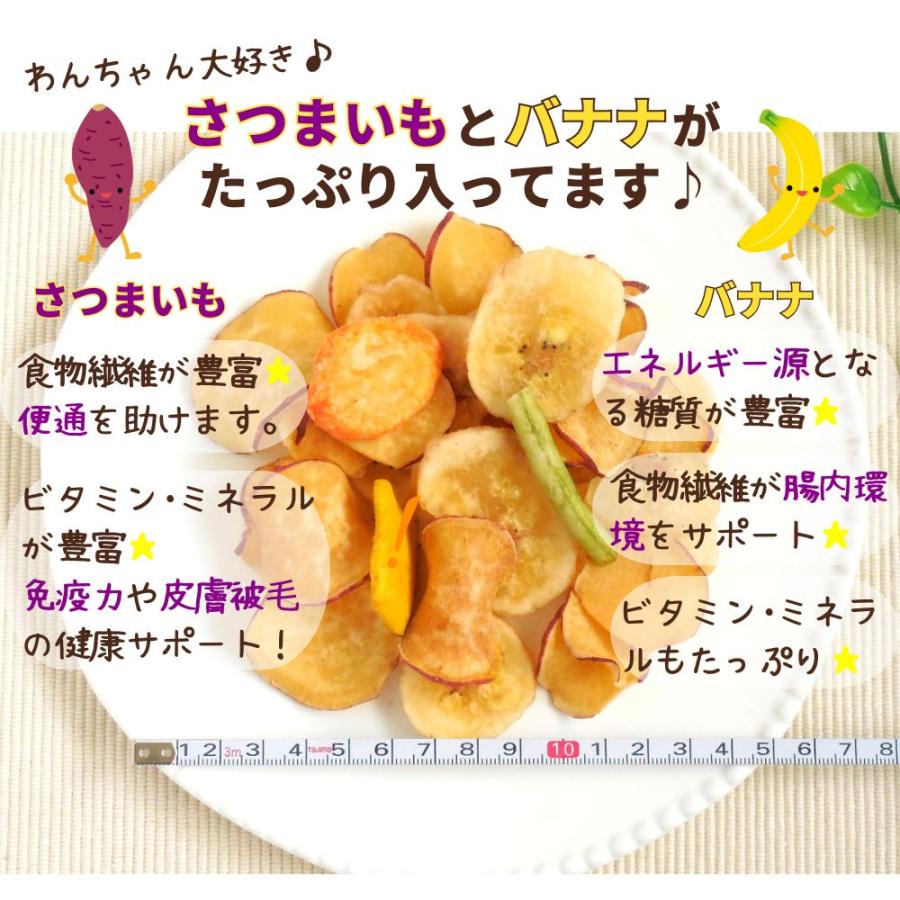 犬 おやつ 無添加 国産 ベストパートナー 乾燥野菜とフルーツ 50g 野菜 果物 さつまいも バナナ チップス チップ 小型犬 中型犬 大型犬 シニア 日本製 爆買 | Best Partner | 02