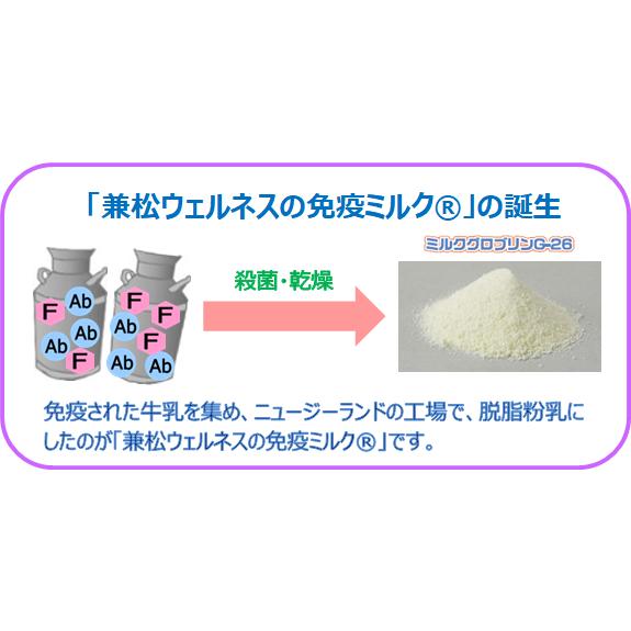 兼松ウェルネス スターリミルク 640g (20g×32袋) : ラースマルシェ