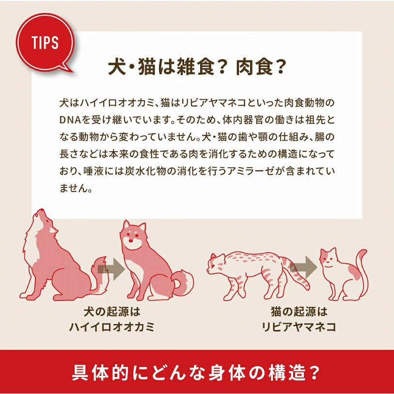 アカナ (ACANA) ワイルドプレイリーキャット 4.5kg [国内正規品