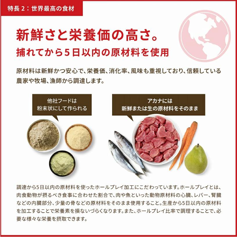 ACANA (アカナ) ドッグフード ヨークシャーポーク [国内正規品] 6kg