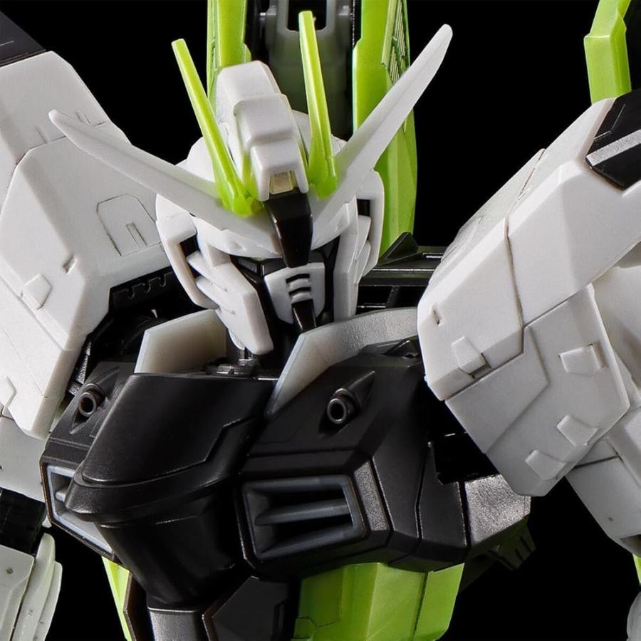 RG 機動戦士ガンダムSEED フリーダムガンダム [APEX LEGENDS(TM