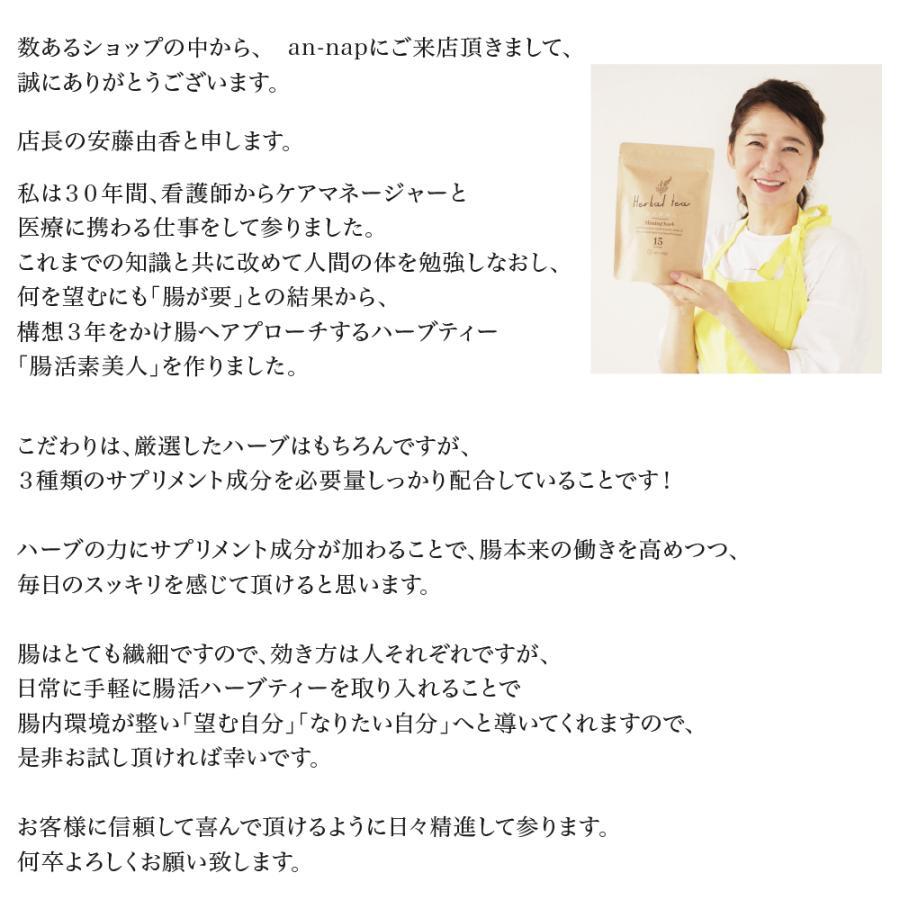 初回限定1,080円クーポン付き 腸活素美人　お茶 健康茶 ダイエット茶 ハーブティー　便秘解消 健康改善 リフレッシュ 1袋 15包 アイスティー | ブランド登録なし | 02