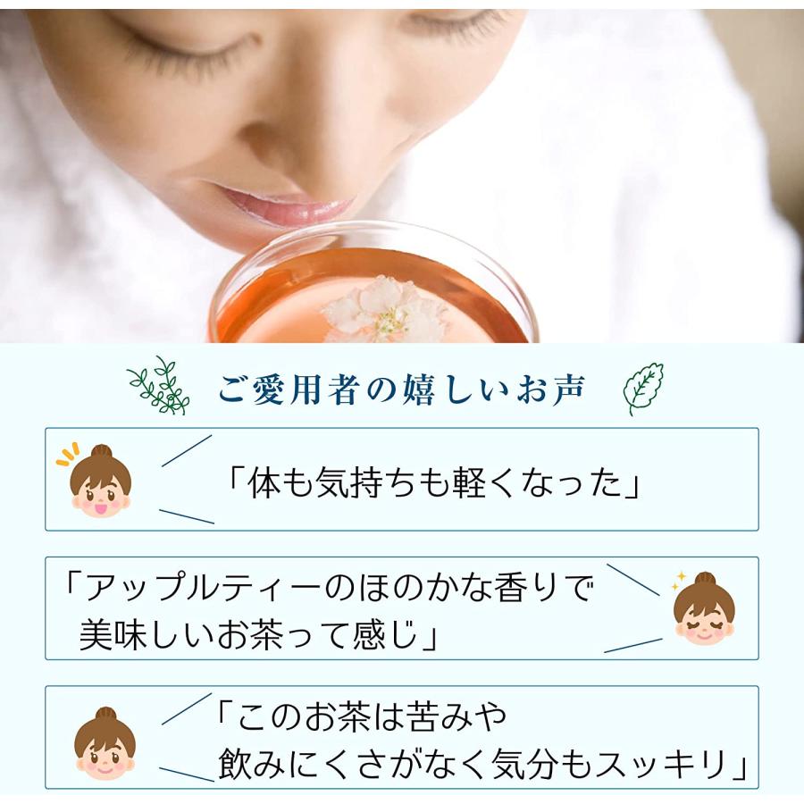 初回限定1,080円クーポン付き 腸活素美人　お茶 健康茶 ダイエット茶 ハーブティー　便秘解消 健康改善 リフレッシュ 1袋 15包 アイスティー | ブランド登録なし | 08