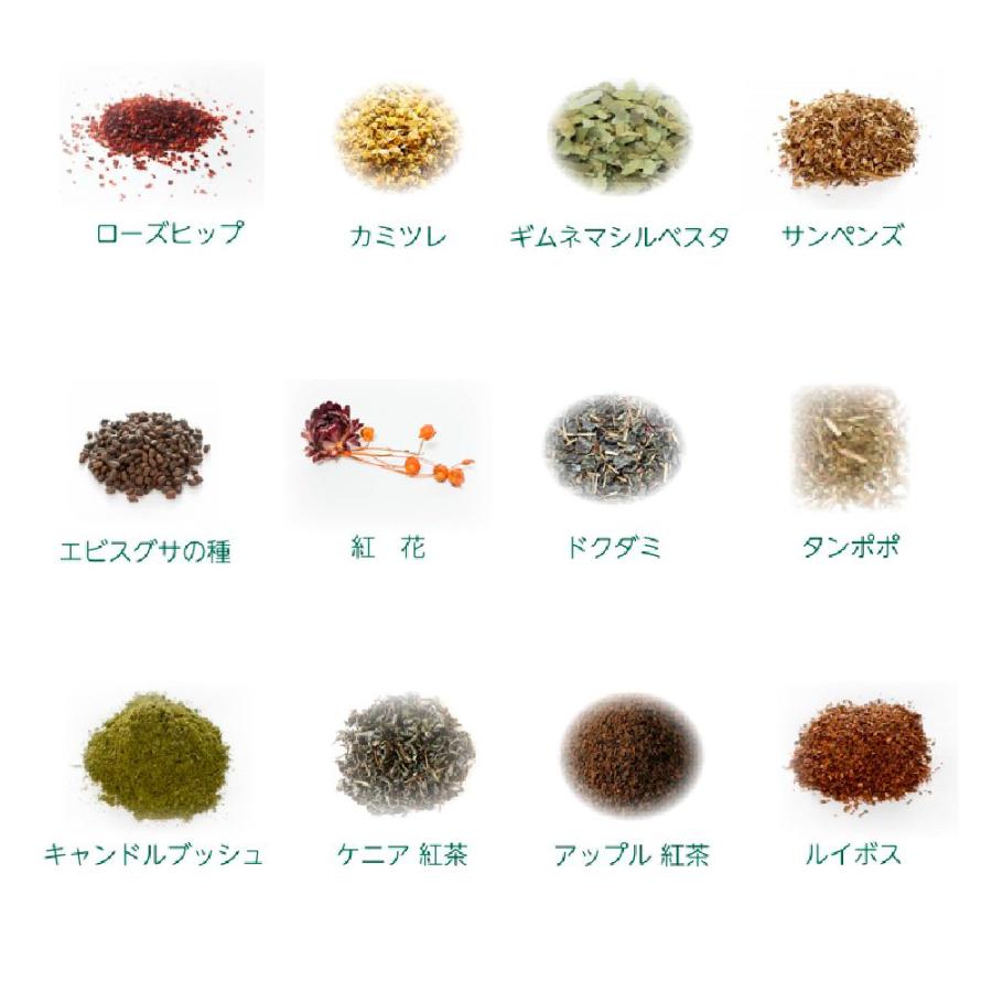 初回限定1,080円クーポン付き 腸活素美人　お茶 健康茶 ダイエット茶 ハーブティー　便秘解消 健康改善 リフレッシュ 1袋 15包 アイスティー | ブランド登録なし | 10