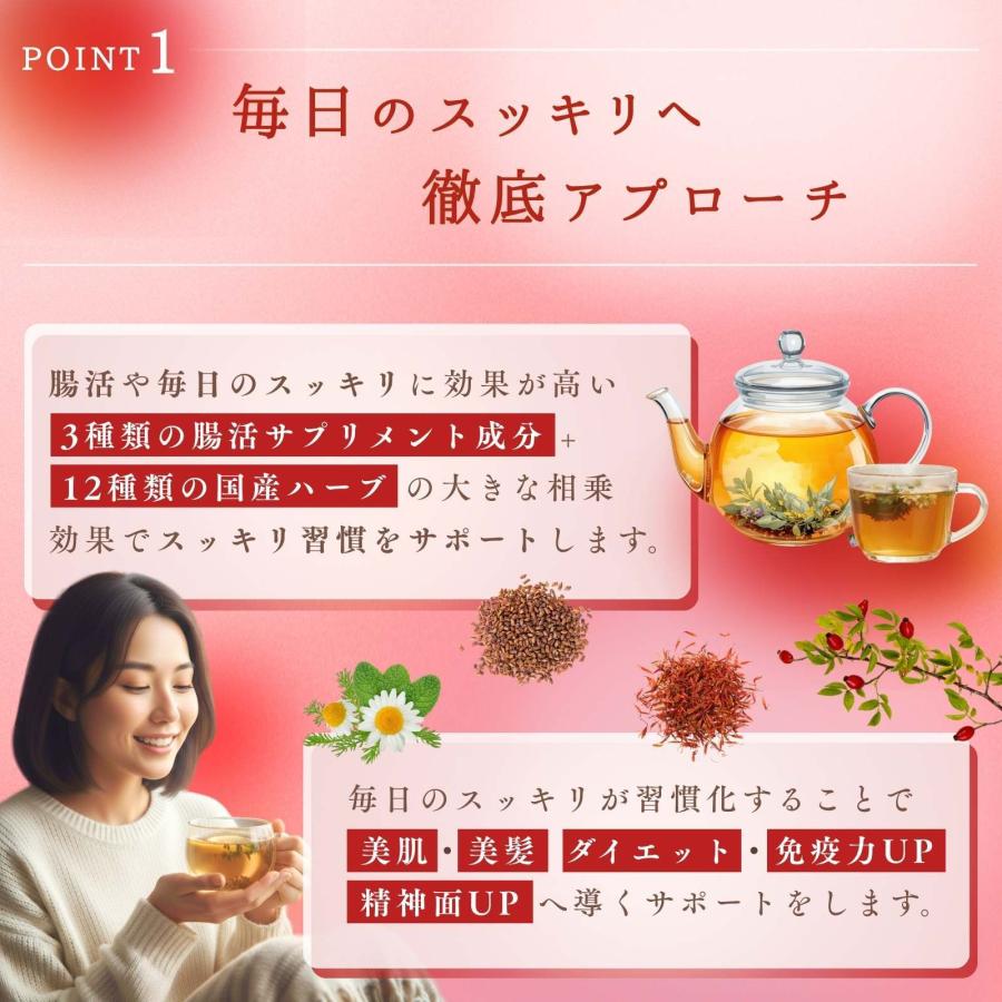 父の日 健康ギフト 腸活素美人 2袋 30包 腸活 サプリ スッキリ