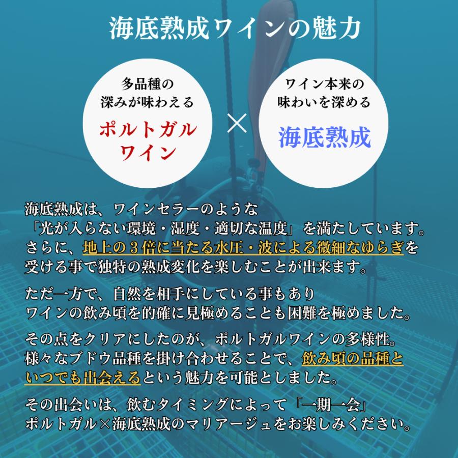 海底熟成ワイン 海底ワイン  ヴィンクロエテルノ 2019年 赤ワイン 高級 フルボディ ギフトワイン プレゼント 女性 還暦祝い ポルトガル 750ml |  | 09