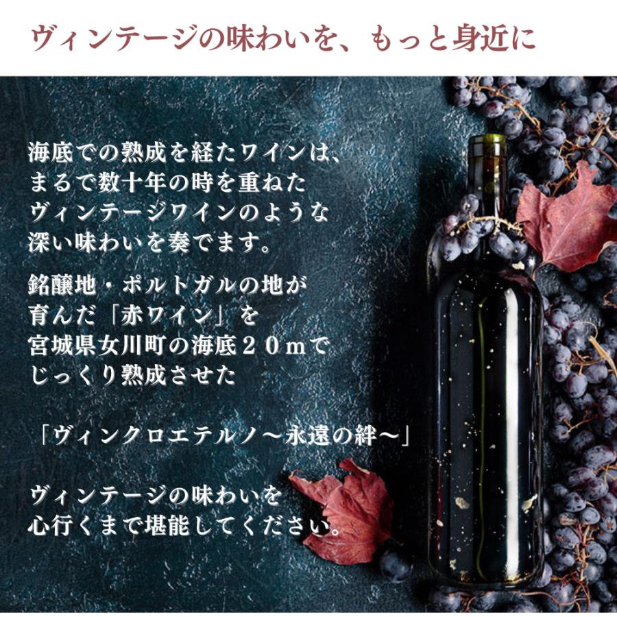 海底熟成ワイン 海底ワイン  ヴィンクロエテルノ 2019年 赤ワイン 高級 フルボディ ギフトワイン プレゼント 女性 還暦祝い ポルトガル 750ml |  | 01