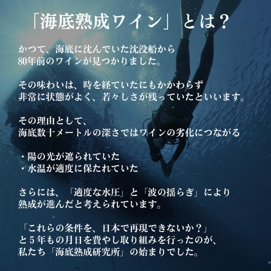 海底熟成ワイン 海底ワイン  ヴィンクロエテルノ 2019年 赤ワイン 高級 フルボディ ギフトワイン プレゼント 女性 還暦祝い ポルトガル 750ml |  | 03