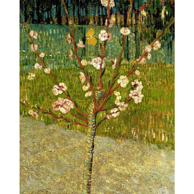 世界の名画　ゴッホ 花咲くアーモンドの木 ジクレーキャンバス複製画 豪華額装品 |  | 01