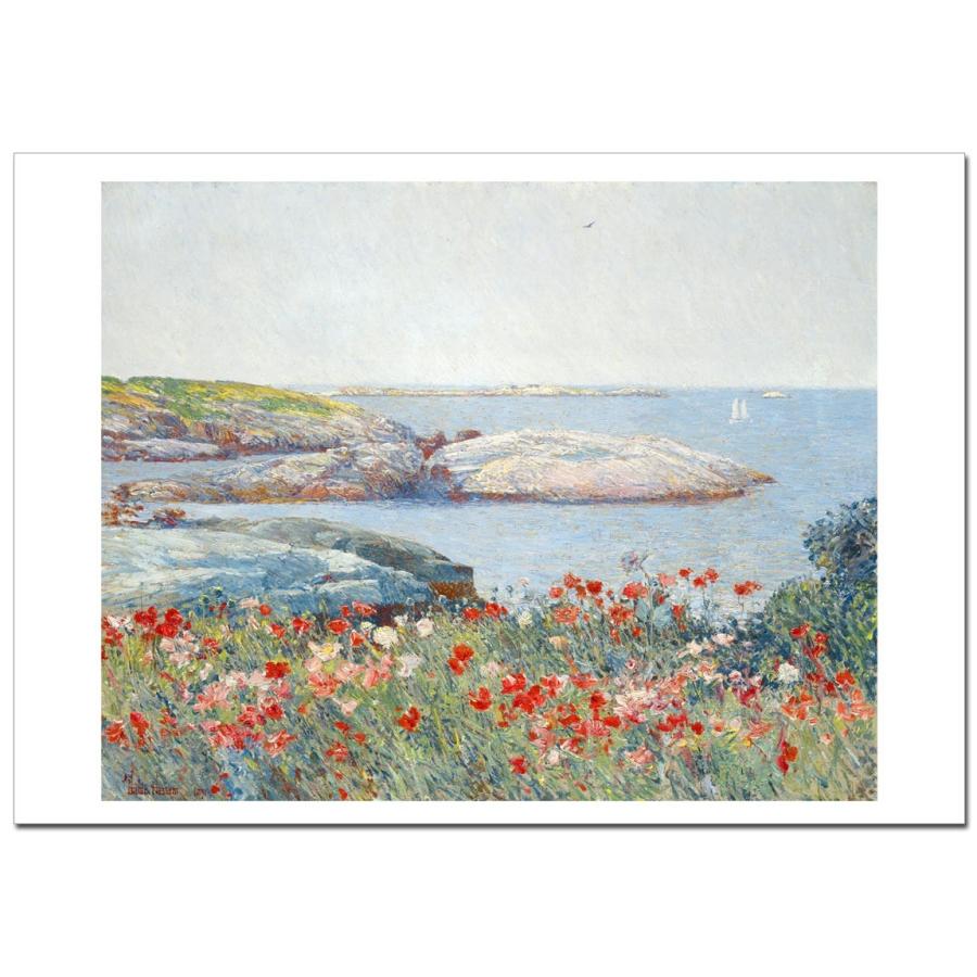 ハッサム　ショールズ諸島のヒナゲシ　A2(420ミリ×594ミリ) ジクレーポスター | 