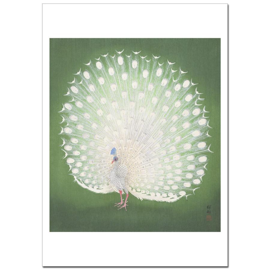 小原古邨 孔雀  B4〜B0サイズ ジクレーポスター | 