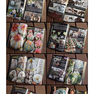 【洋書】Astrophytum Hybrids 洋書】The NeverEnding story of Astrophytum Hybrids : 多肉