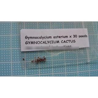 種子10粒 ギムノカリキウム アステリウム(鳳頭)(Gymnocalycium