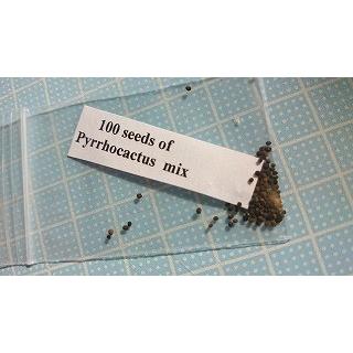 種子20粒 ピロカクタス属(Pyrrhocactus)の種子ミックス : 多肉