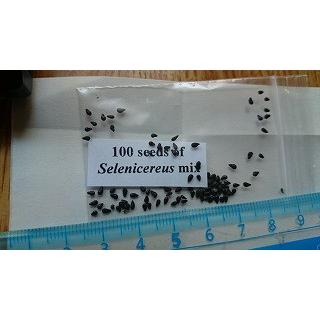 トリコケレウス　種子45種類　10粒ずつセット トリコケレウス 種子45種類 10粒ずつセット