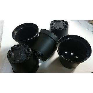 2号プラスチック鉢どっしり型ミニ 黒 こげ茶色 5個セット Msc Plt Size2 Dossili 多肉植物ワールド 通販 Yahoo ショッピング