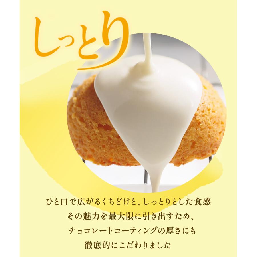 お菓子 福袋【フランセ サマーハッピーバッグ2026】 スイーツ
