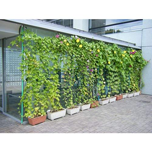 【タイムセール】 ダイオ化成 つるもの園芸ネット 10cm角目 1.8mx60m(W) 緑 【1652584812】(10127円)