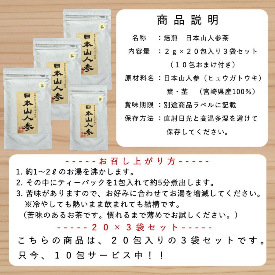 日本山人参茶 20包×3袋セット+10包おまけ ヒュウガトウキ茶 日向当帰茶