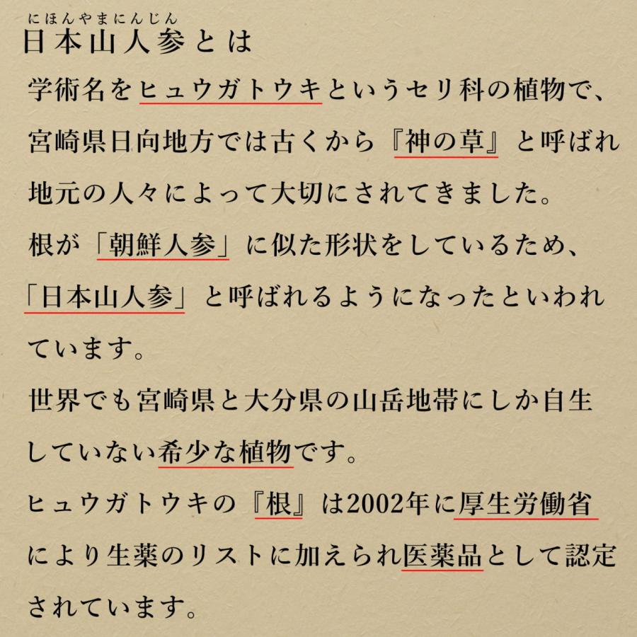 日本山人参 パウダー 30g×3袋セット ヒュウガトウキ 粉末 茶 日向当帰 神の草 宮崎県産 無農薬_3