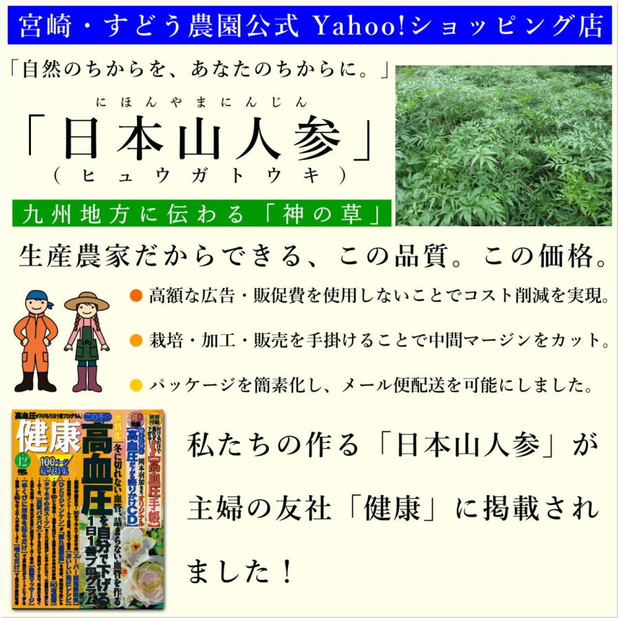 日本山人参 パウダー 30g×3袋セット ヒュウガトウキ 粉末 茶 日向当帰 神の草 宮崎県産 無農薬_2