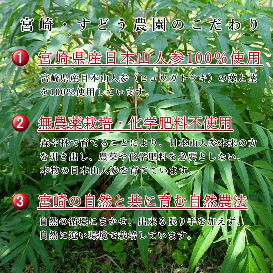 日本山人参 パウダー 30g×3袋セット ヒュウガトウキ 粉末 茶 日向当帰 神の草 宮崎県産 無農薬_5