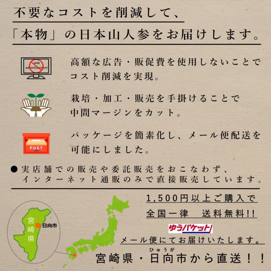 日本山人参 パウダー 30g×3袋セット ヒュウガトウキ 粉末 茶 日向当帰 神の草 宮崎県産 無農薬_9